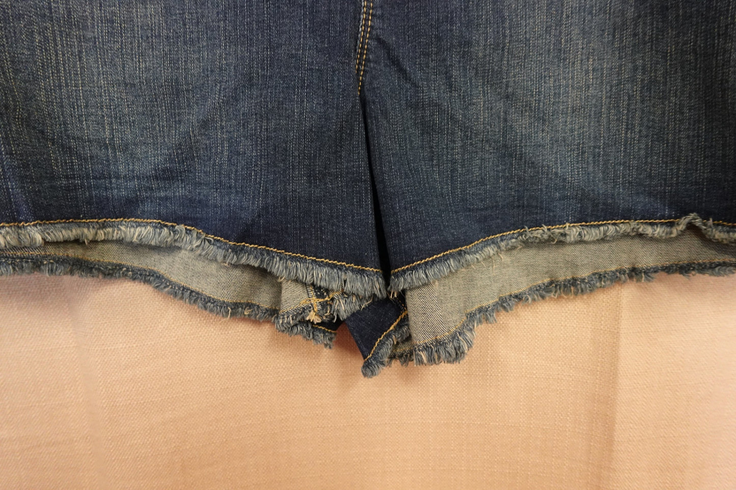 Torrid, Shorts, 24