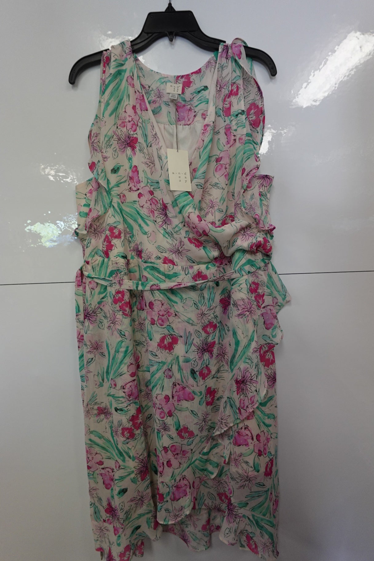 NEW- A New Day, Dress, 2X