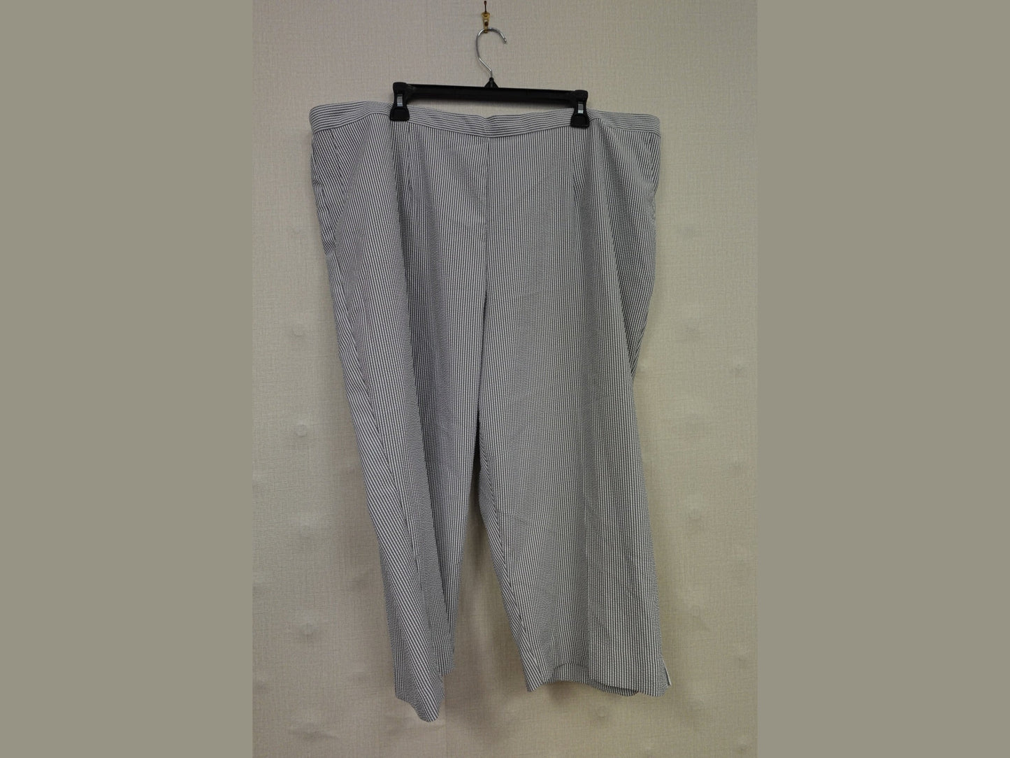 Alfred Dunner, Pants, 24W