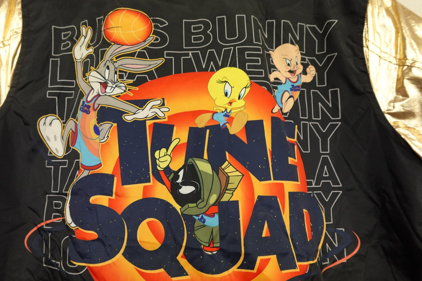 Space Jam, Vintage jacket, Large