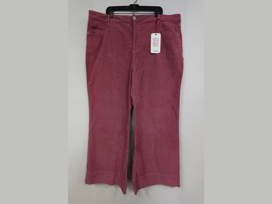 Arula, Pants, 22/24 (C)