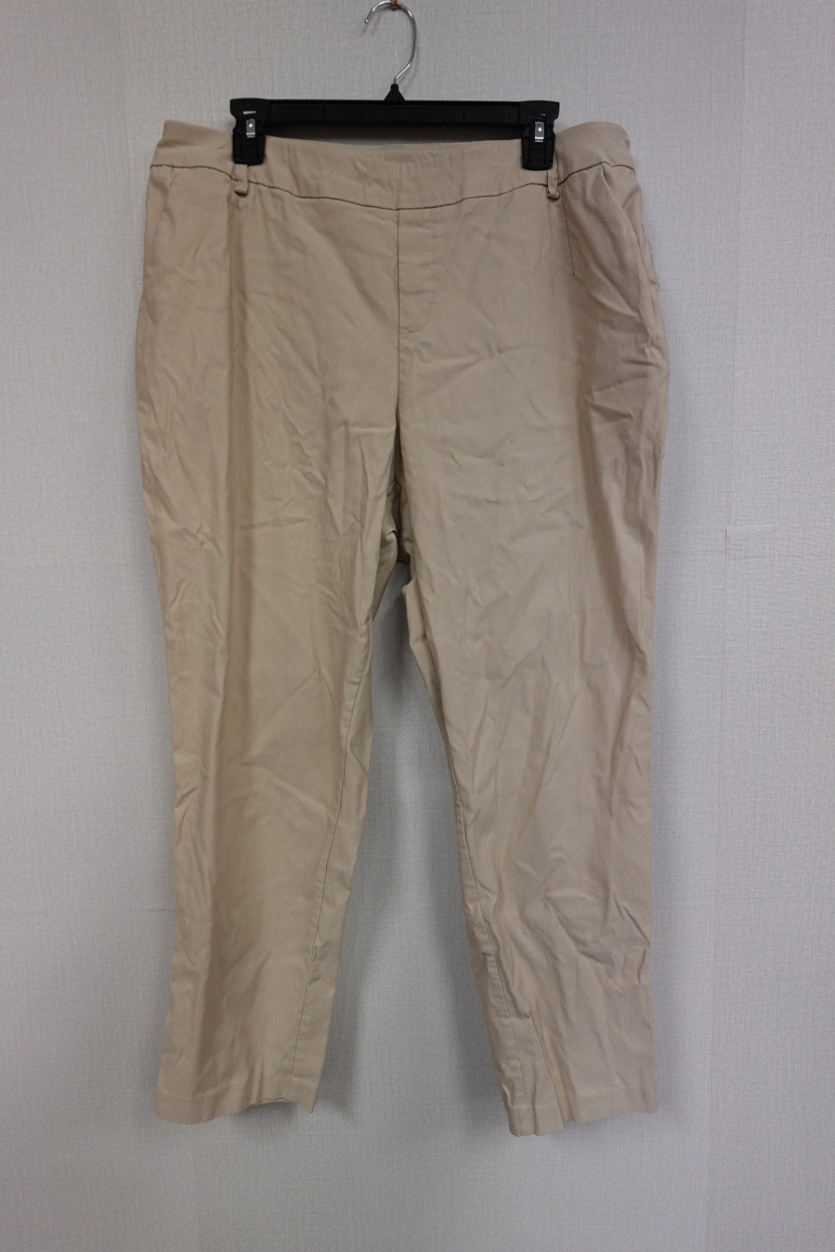 Cato, Pants, 16W