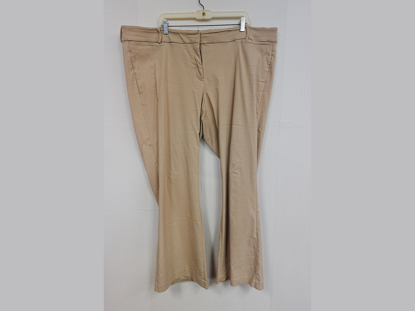 Lane Bryant, Pants, 24