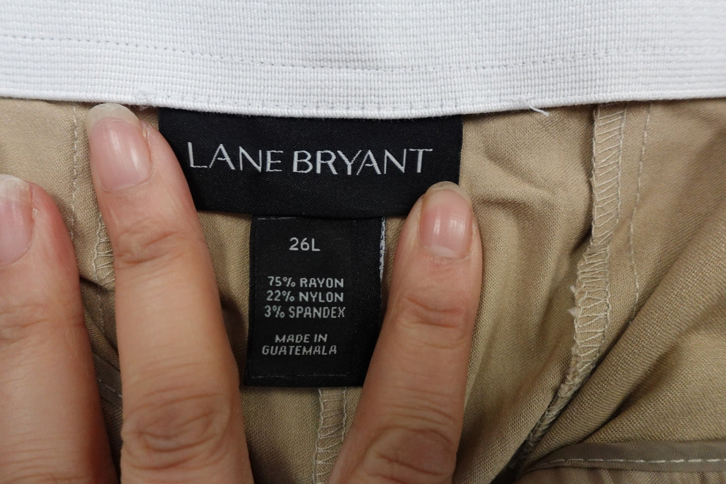Lane Bryant, Pants, 26L