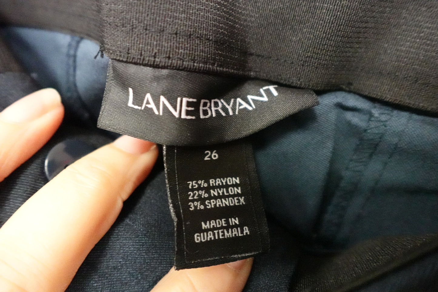 Lane Bryant, Pants, 26L