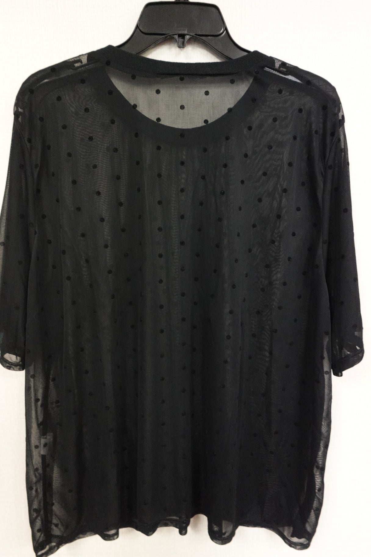 Boohoo, Short Sleeves Top, 20