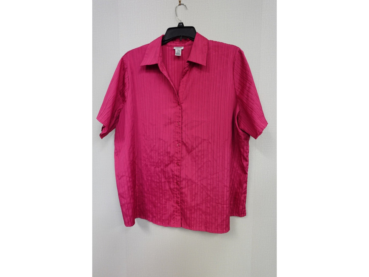Liz Baker, Short Sleeves Top, 3X
