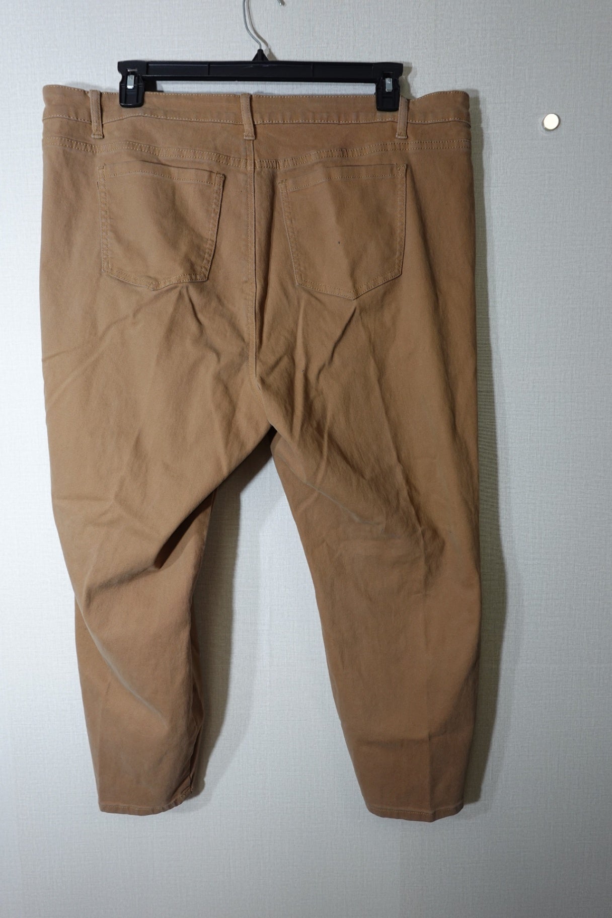 Bleu, Pants, 22W