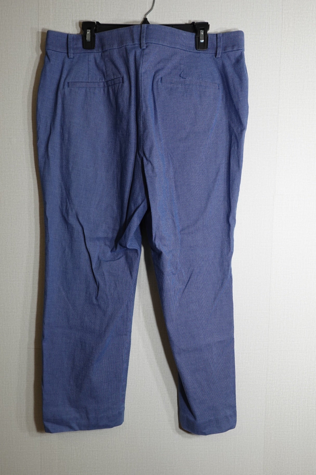 LOFT, Pants, 16