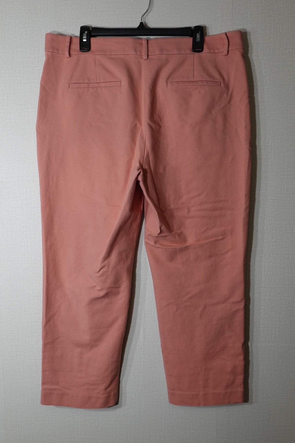 LOFT, Pants, 16
