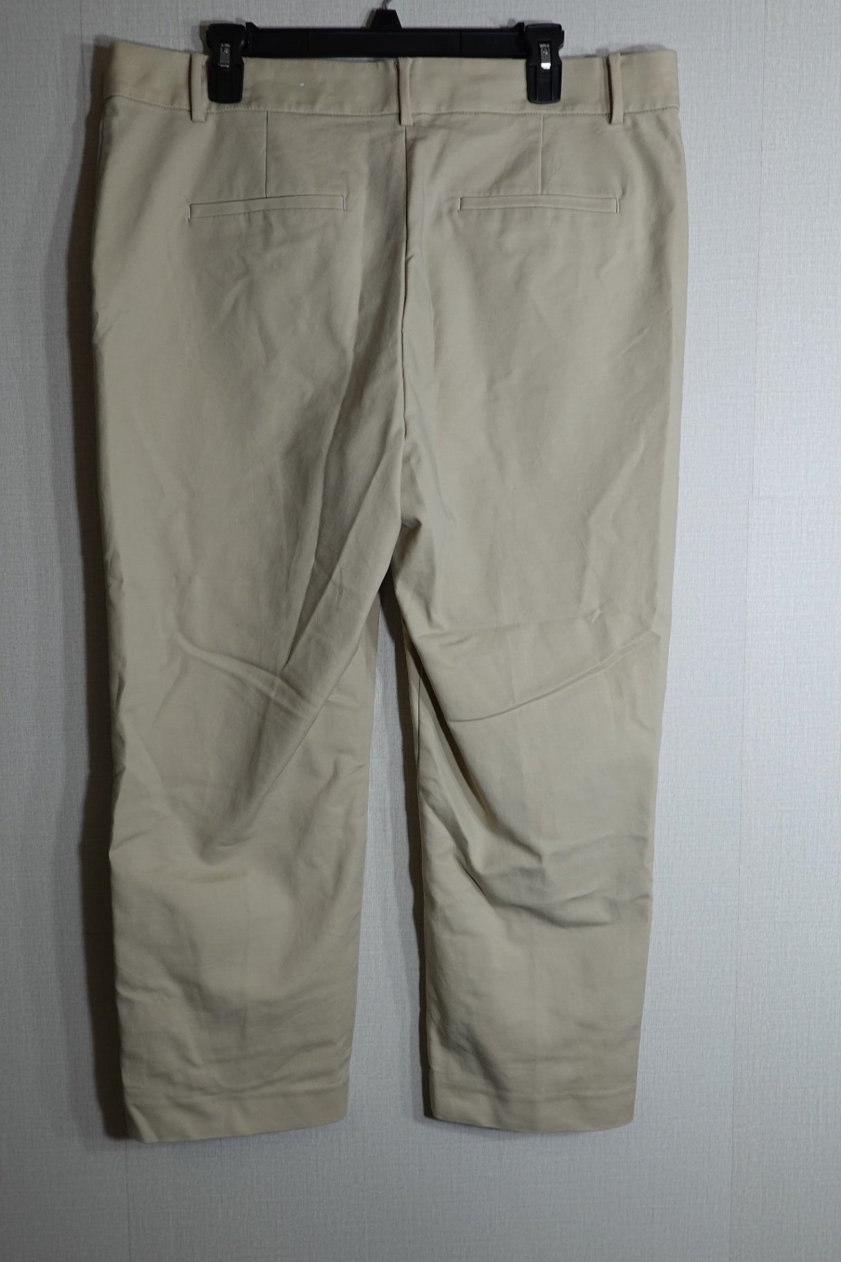 LOFT, Pants, 16