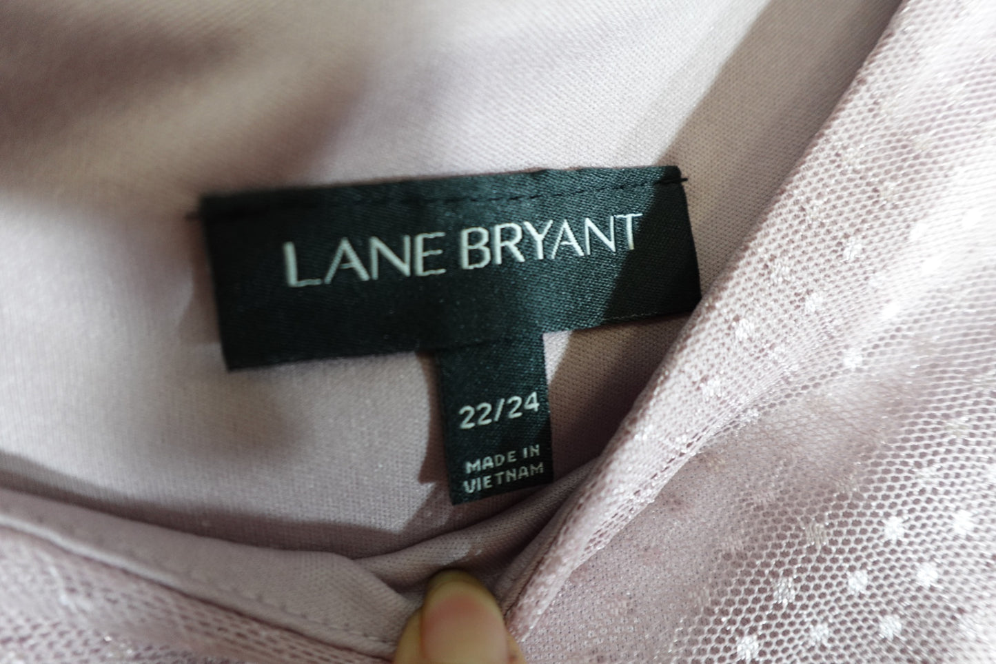 Lane Bryant , Dress, 22/24