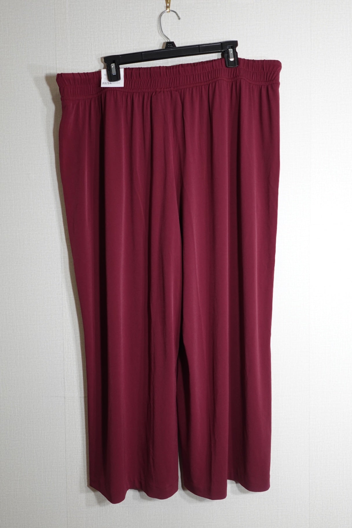 Lane Bryant Designs & Co, NWT Pants, 22/24P