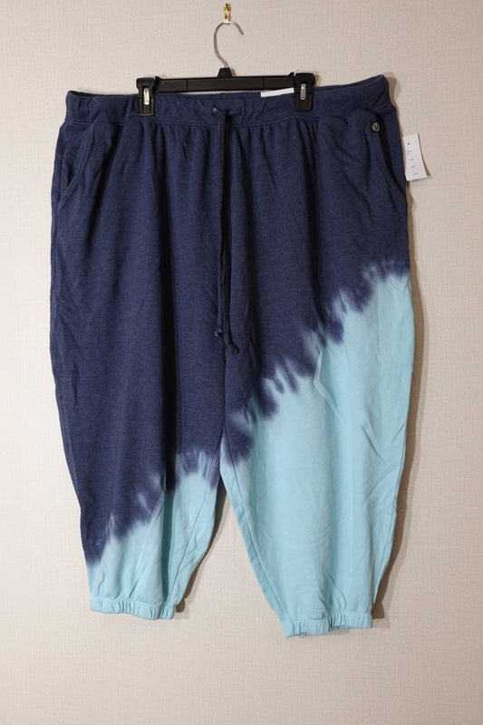 LIVI, NWT Pants, 26/28