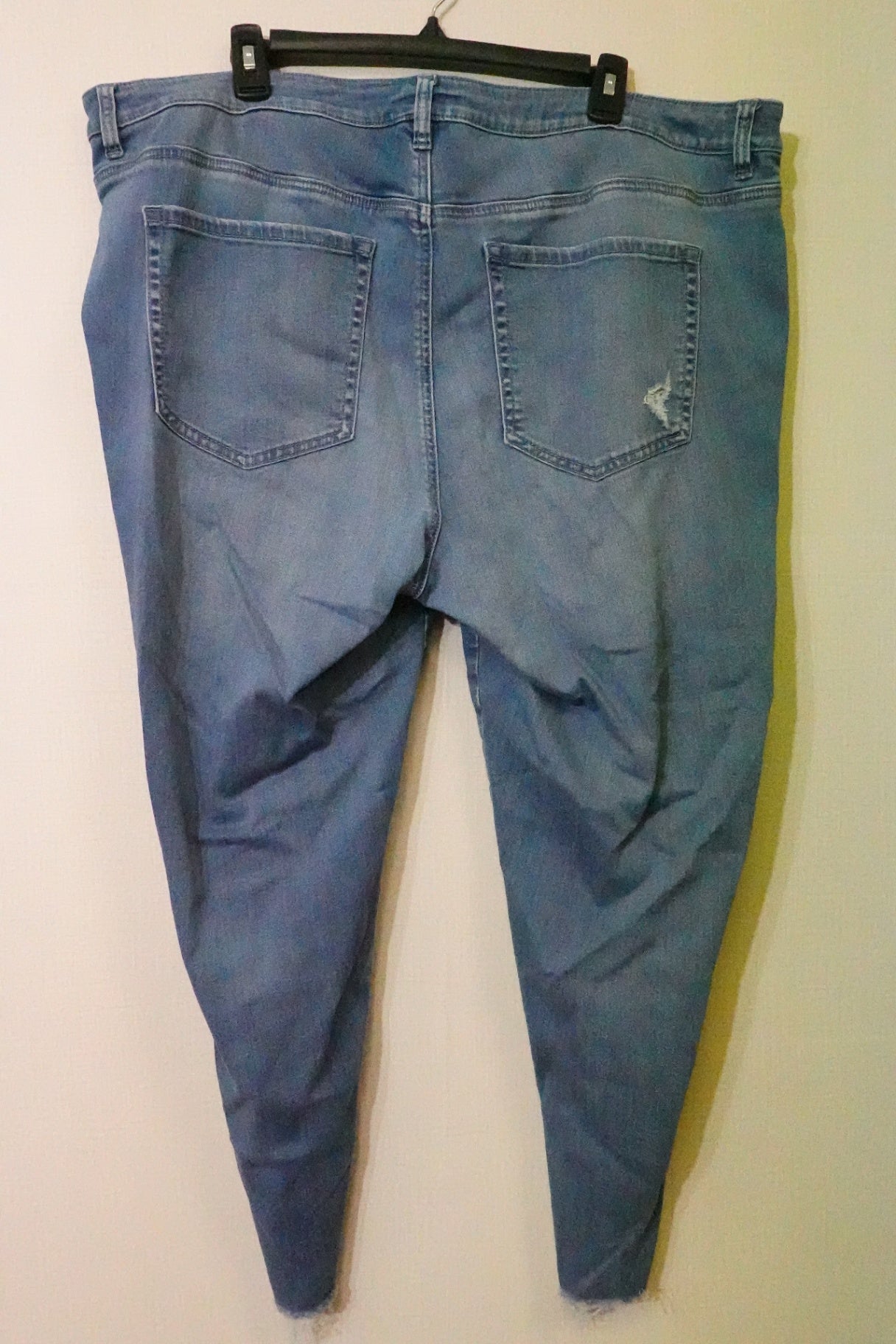 Lane Bryant, Jeans- Skinny, 24