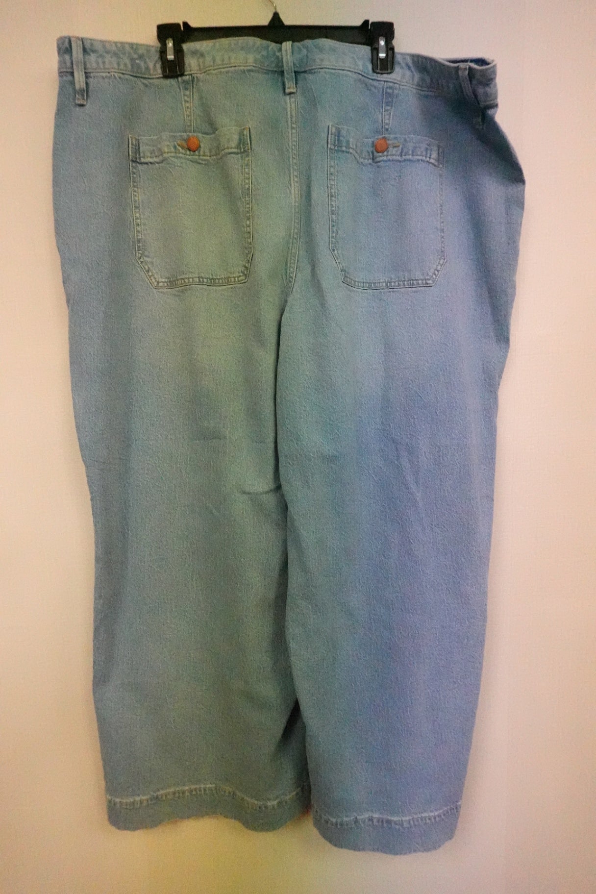 Lane Bryant, Pants, 24S