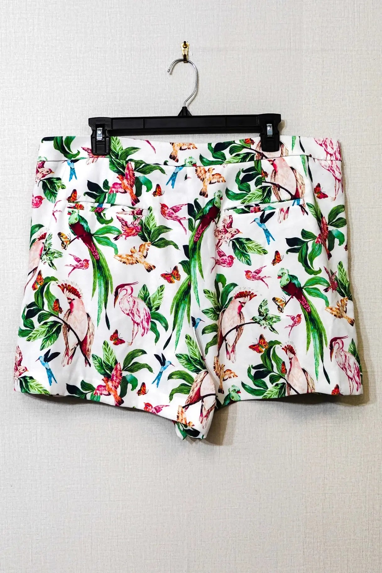 Ann Taylor Factory, Shorts, Size 16 Ann Taylor Factory Shorts More To Love Consignment