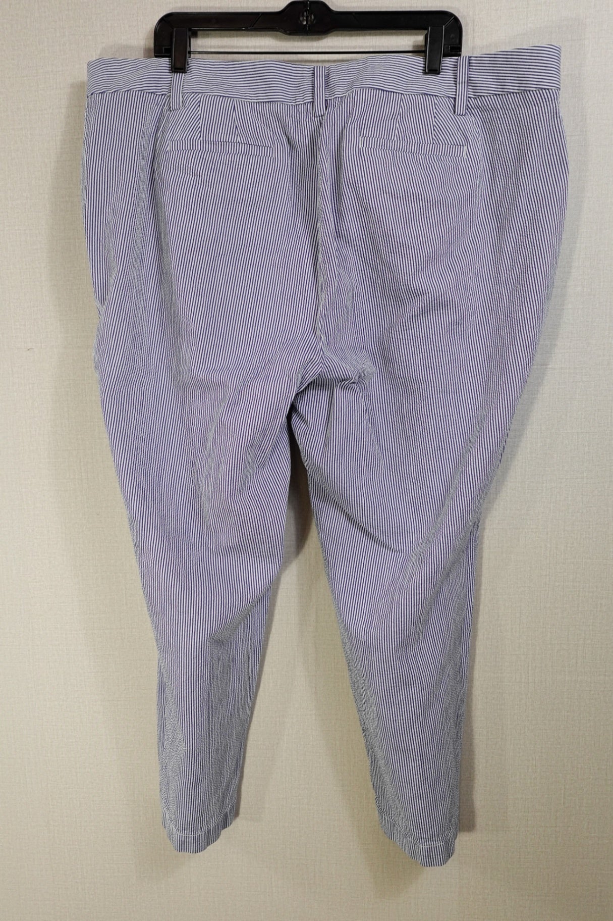 Talbots, Pants - Straight Chino, 22wp