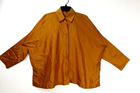 zina, Long Sleeves Top, 2X/3X (no label- call for measurements)