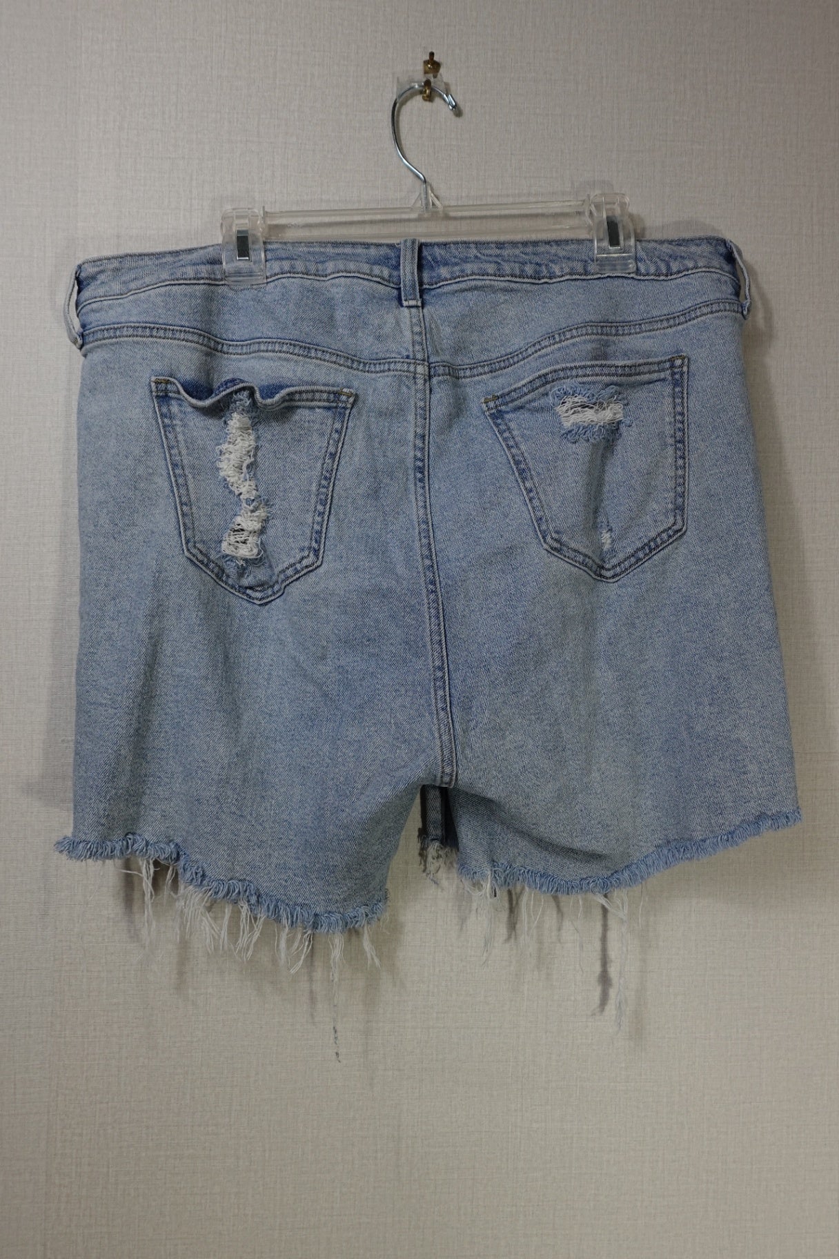 Torrid, Shorts, 16