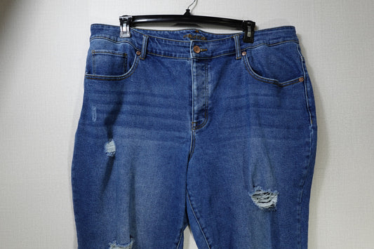 Maurices, Jeans, 22W REG