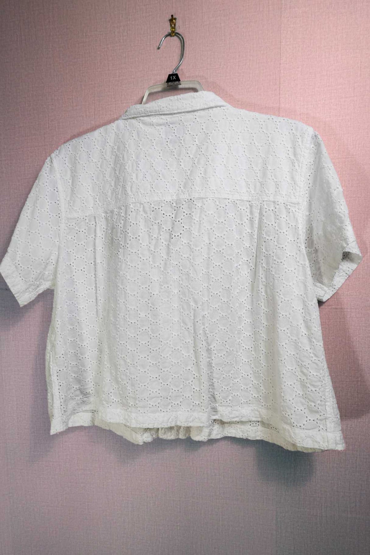 Disney Winnie The Pooh, Short Sleeved Cropped Top, 1X / 2X,