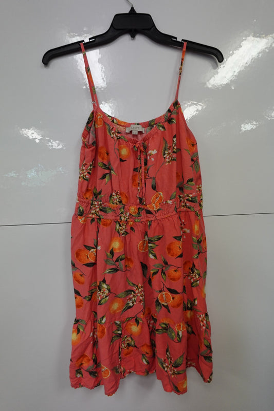 LOFT, Dress, XL