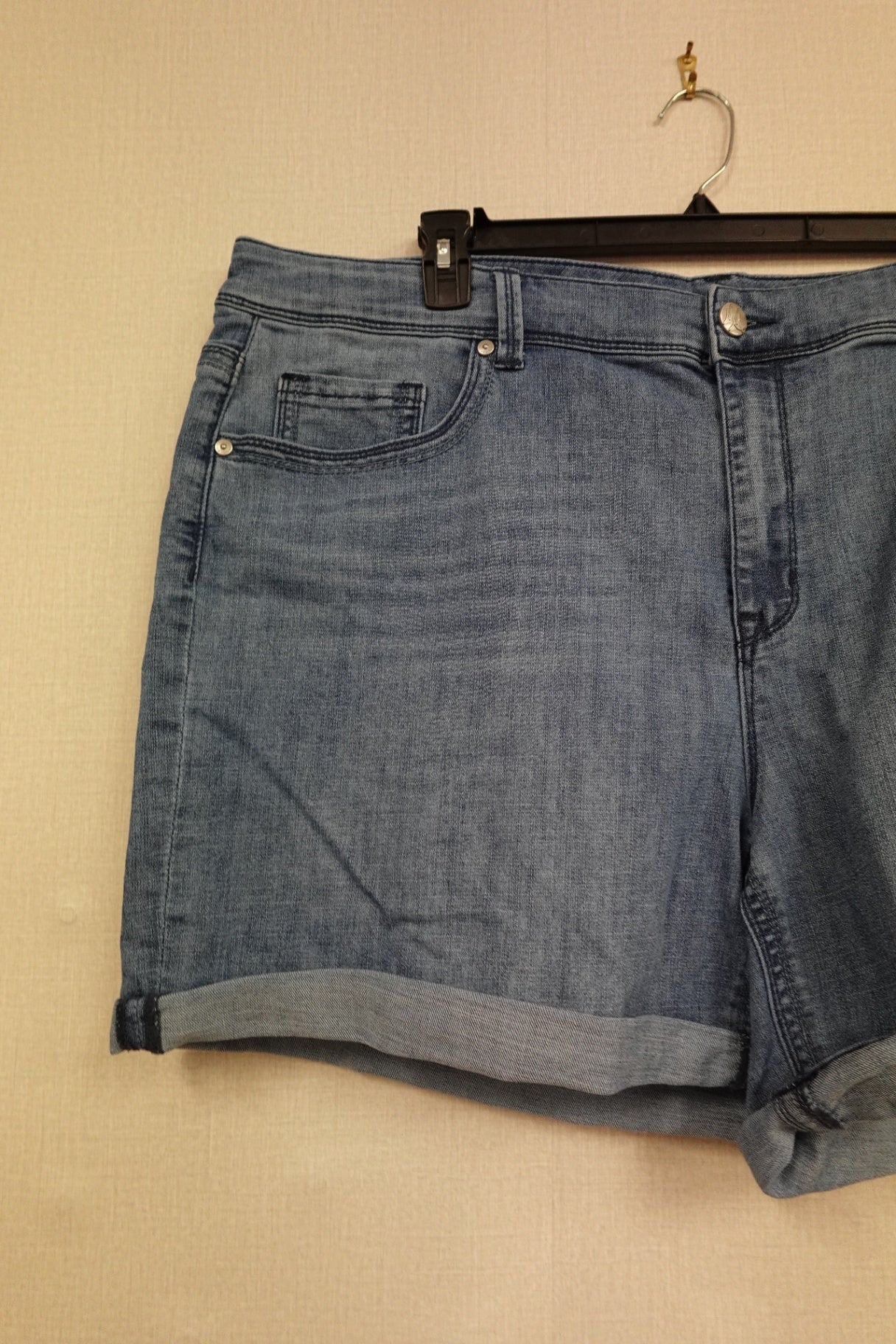 Lissa MCcarthy, Shorts, 24W