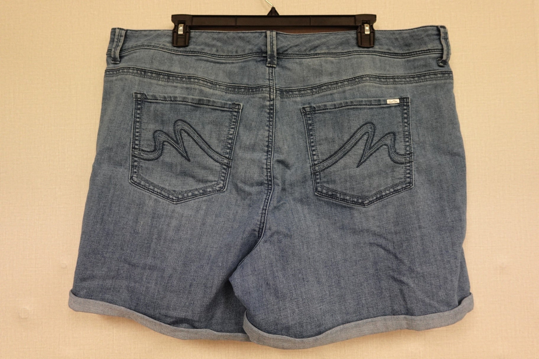 Lissa MCcarthy, Shorts, 24W