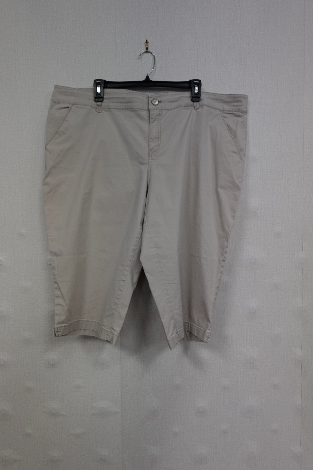Lane Bryant, Shorts, 22