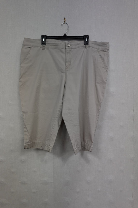 Lane Bryant, Shorts, 22