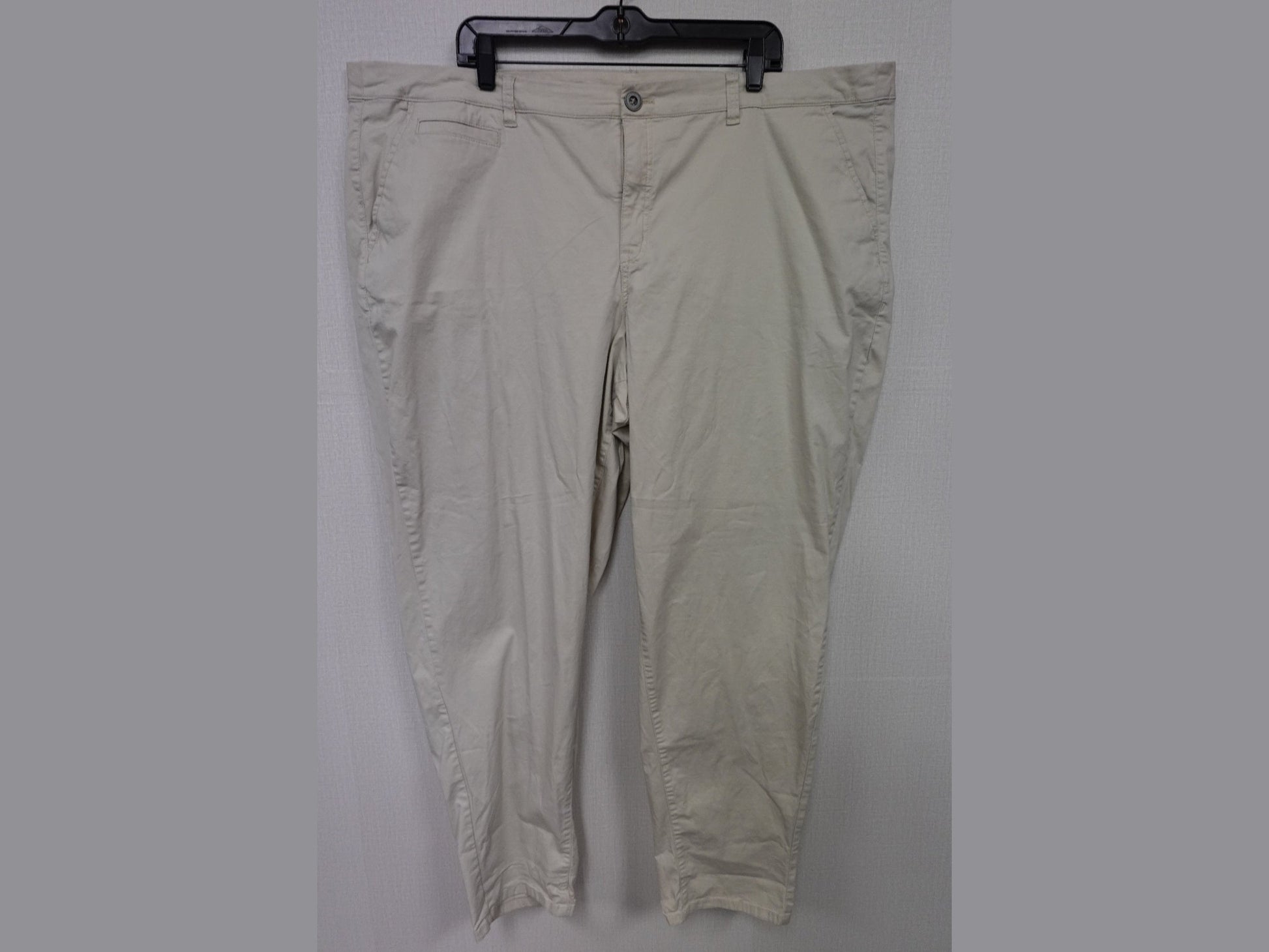 Lane Bryant, Pants, 4X/5X