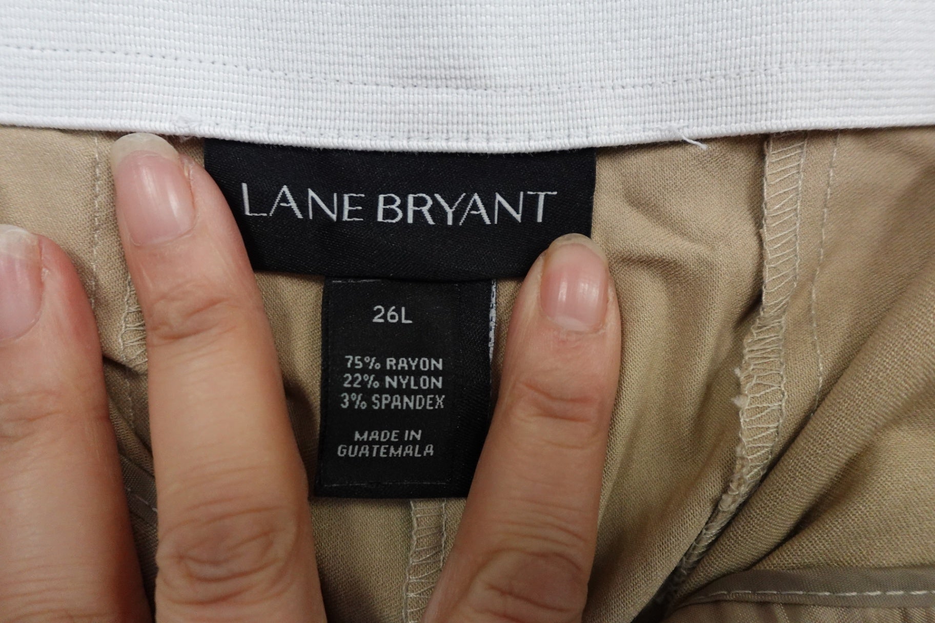 Lane Bryant, Pants, 26L