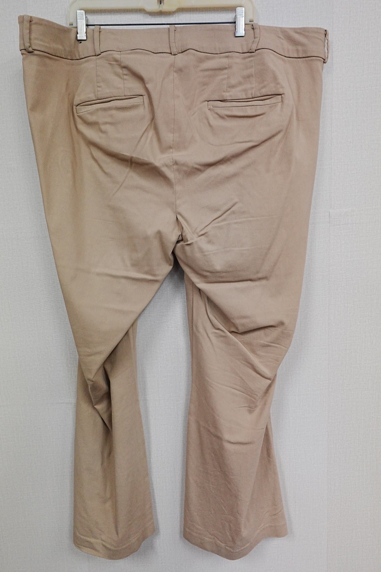 Lane Bryant, Pants, 24