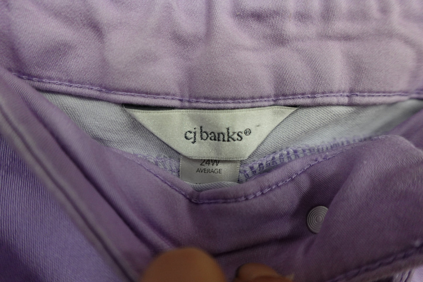 CJ Banks, Pants, 24W