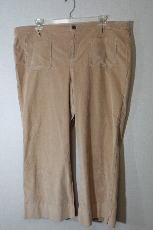 D & CO, Pants, 2XP