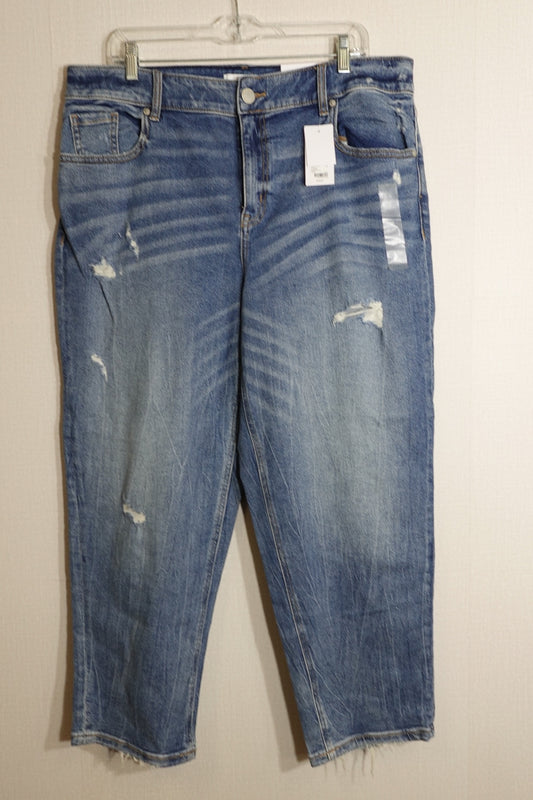 Lane Bryant, NWT Jeans: High-Rise Straight,16