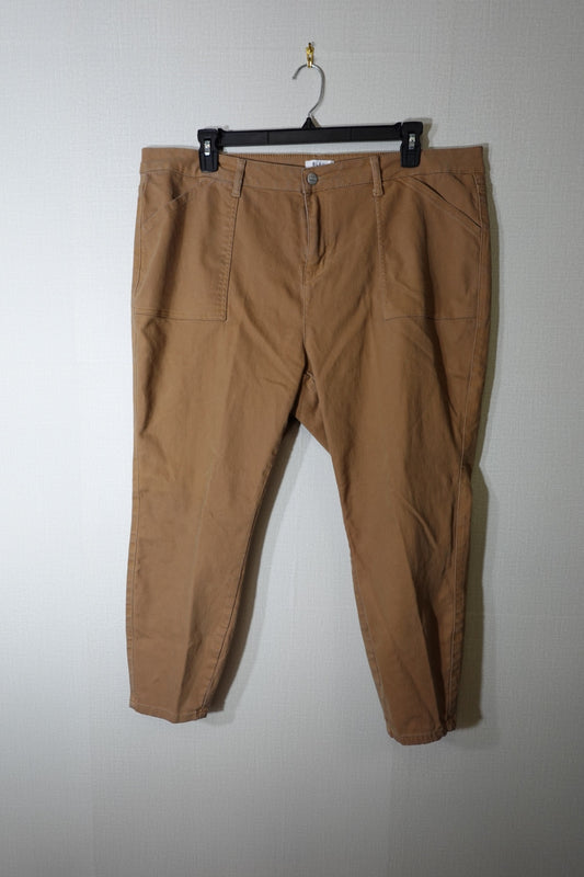 Bleu, Pants, 22W