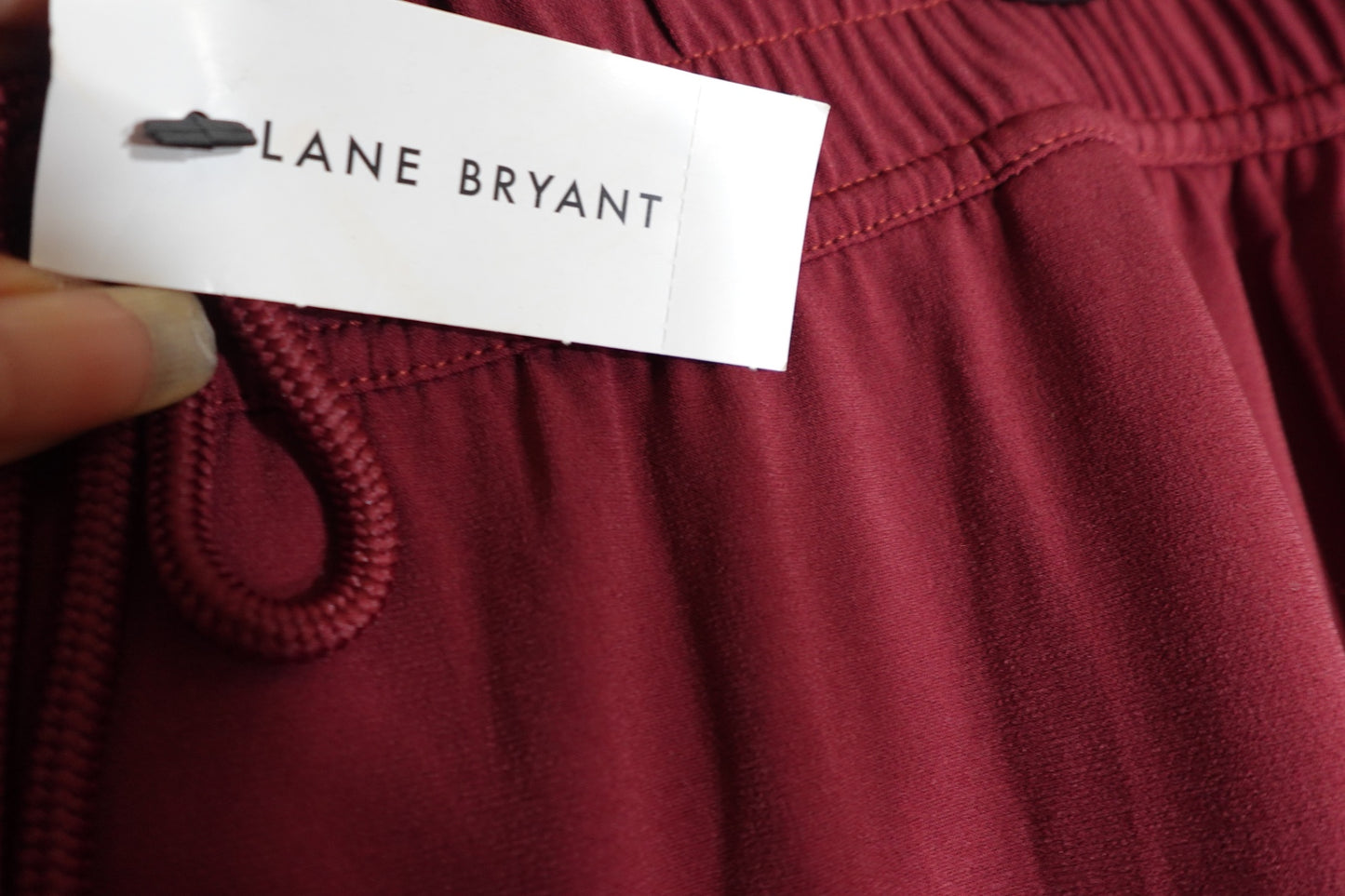 Lane Bryant Designs & Co, NWT Pants, 22/24P