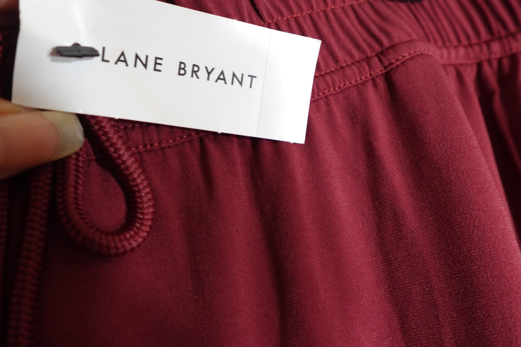 Lane Bryant Designs & Co, NWT Pants, 22/24P