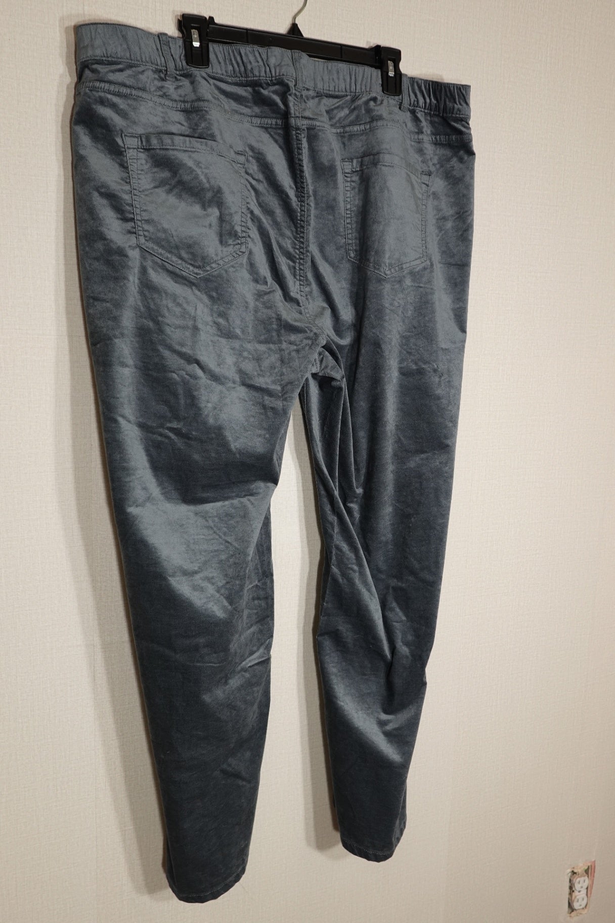 J. Jill, NWT Velvet Pants, 24