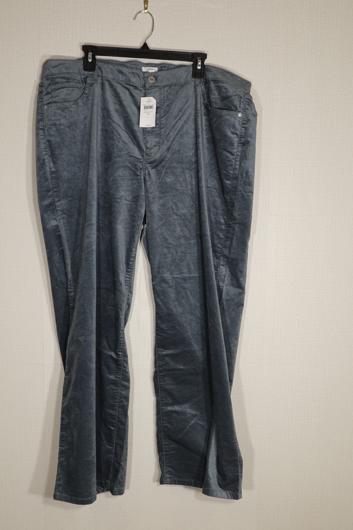 J. Jill, NWT Velvet Pants, 24