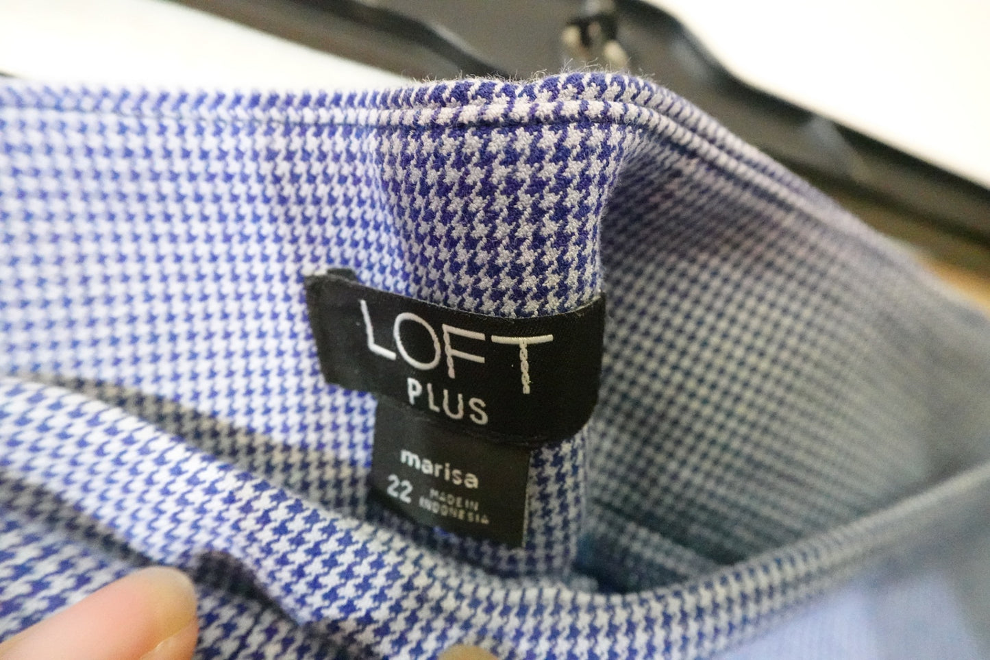 Loft, Pants , 22