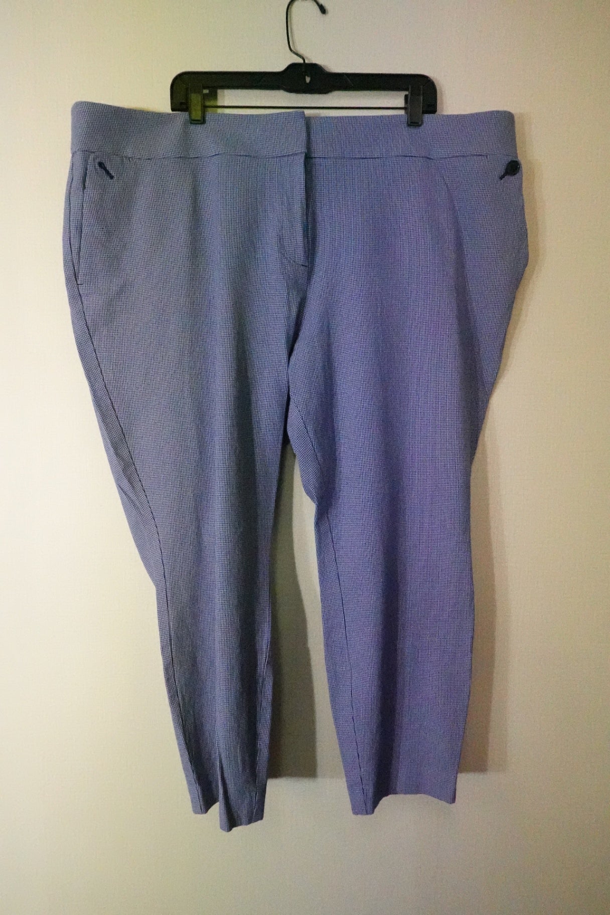 Loft, Pants , 22