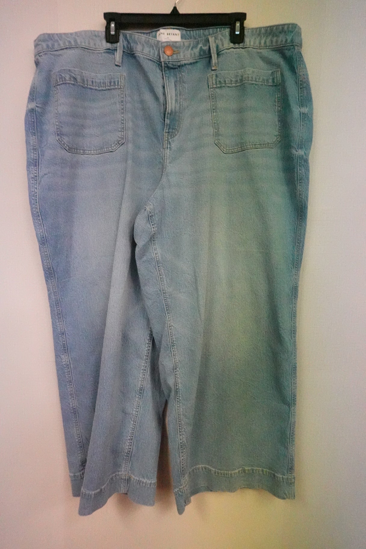 Lane Bryant, Pants, 24S