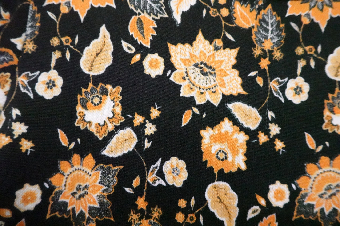 Lee, Long Sleeves Top, 2X