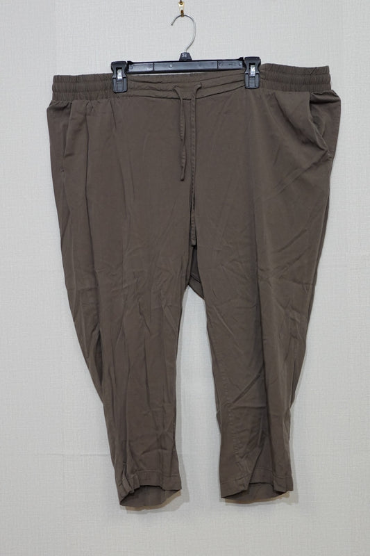 Torrid, Pants , 3 Short