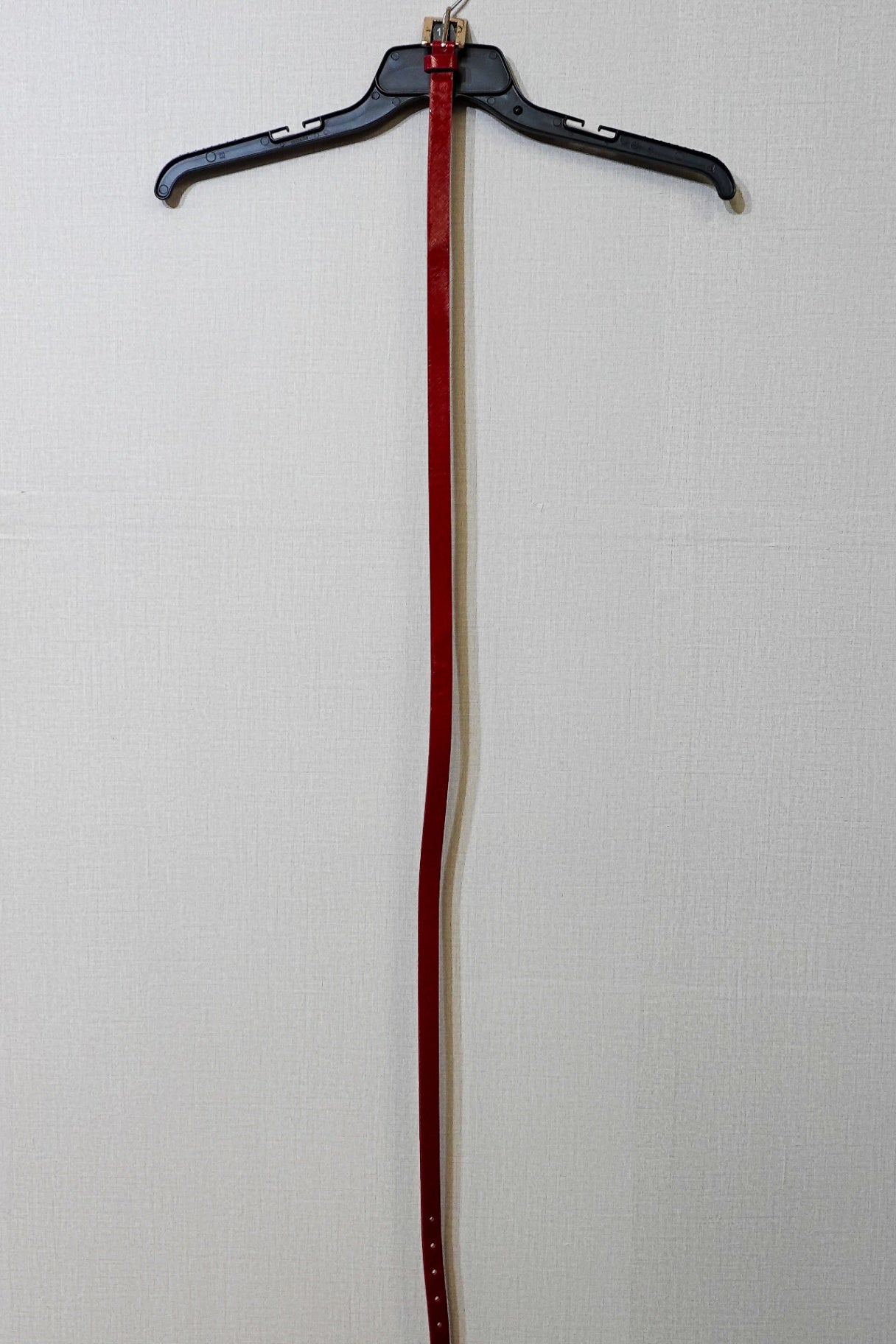 (No Label), Belt, Size 14W