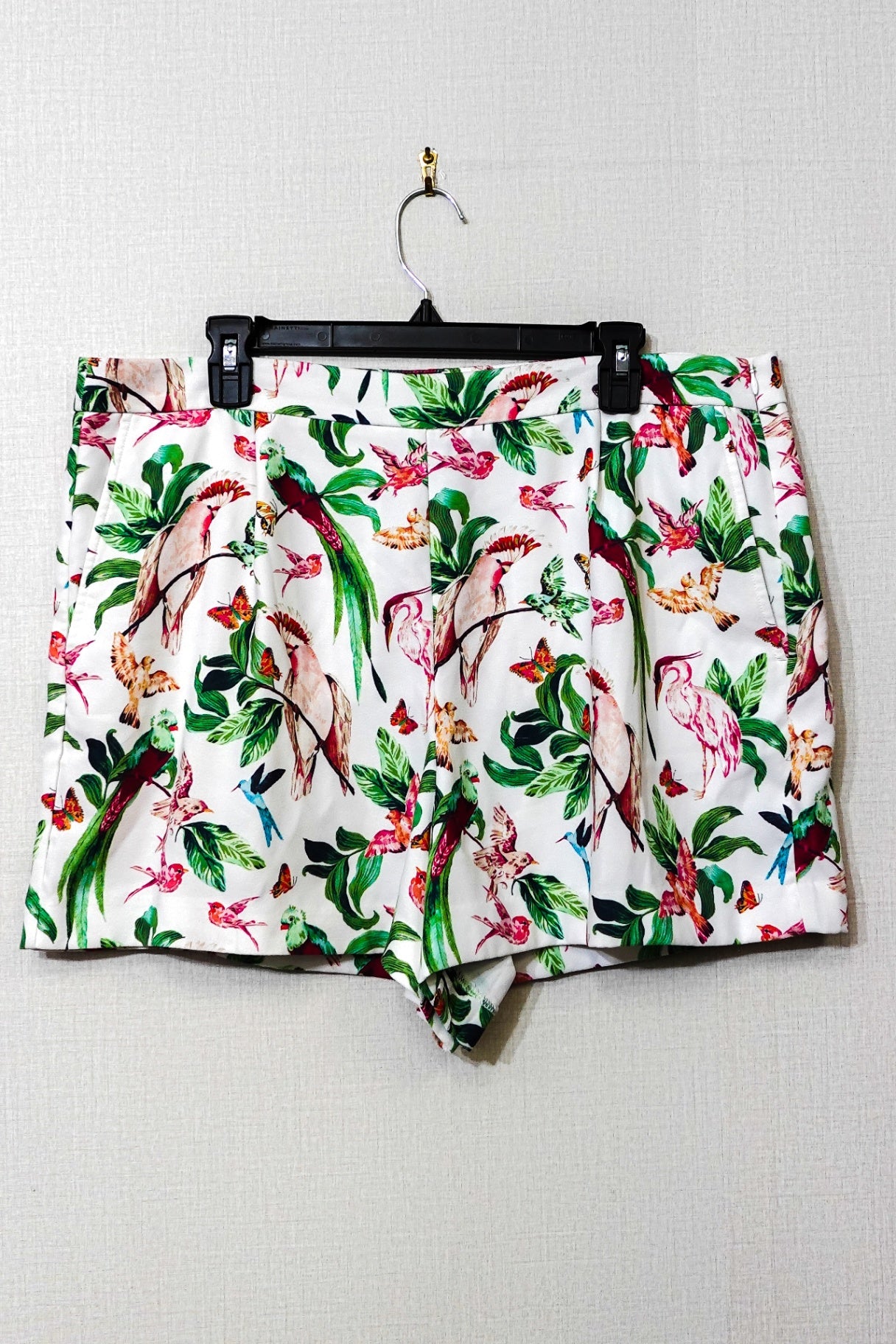 Ann Taylor Factory, Shorts, Size 16