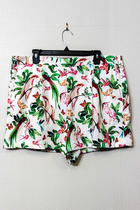 Ann Taylor Factory, Shorts, Size 16